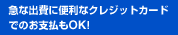 急な出費に便利なクレジットカードでのお支払もOK!